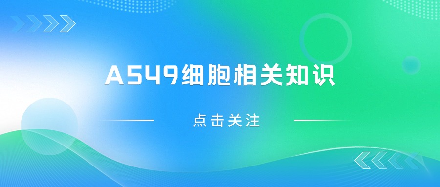 關(guān)于A549細(xì)胞，您不得不知道的一些操作