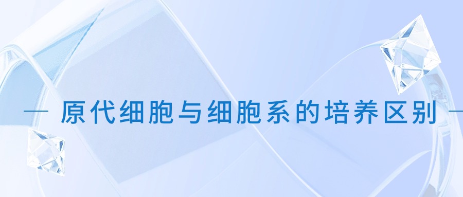 原代細胞與細胞系的培養(yǎng)區(qū)別